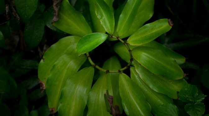 An Introduction to Redux