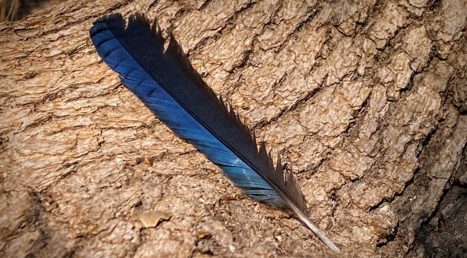 Planning Quarter Roadmap for a Team