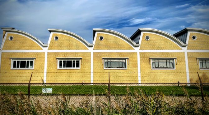 Naming Booleans: Readablity with Affirmative Boolean